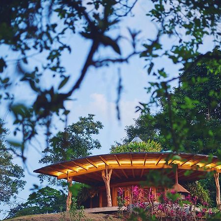 Origins Lodge Bijagua Esterno foto