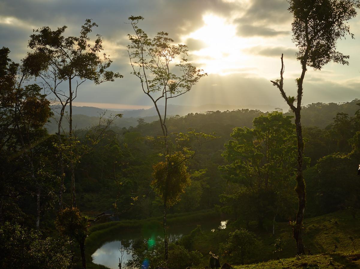 Origins Lodge Bijagua Esterno foto